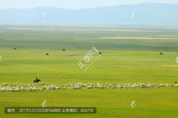 秋季草原牧場羊群