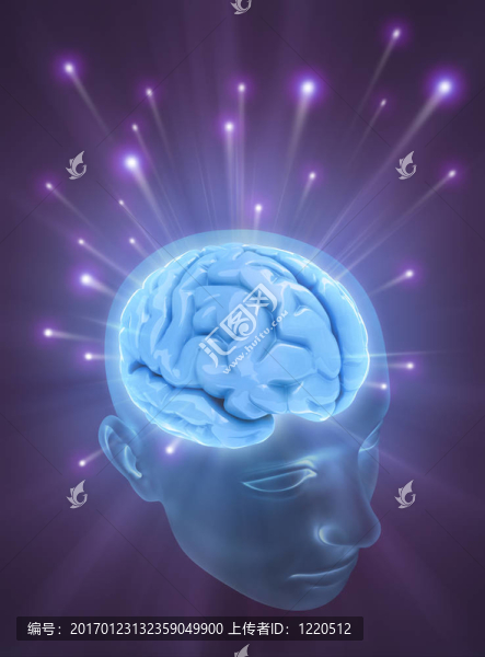 大腦(心靈的力量)-匯圖網(wǎng) www.fosd68.com 大腦(心靈的力量)