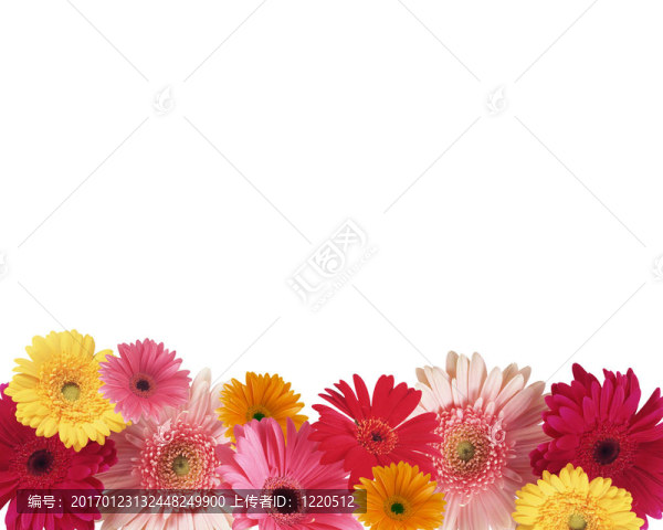 花壇
