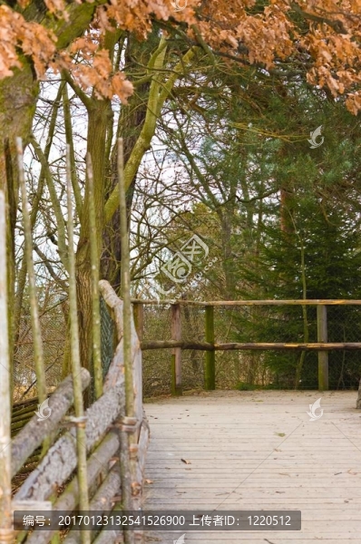 秋天的方式-匯圖網(wǎng) www.fosd68.com 秋天的方式