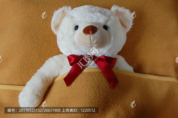 生病的泰迪