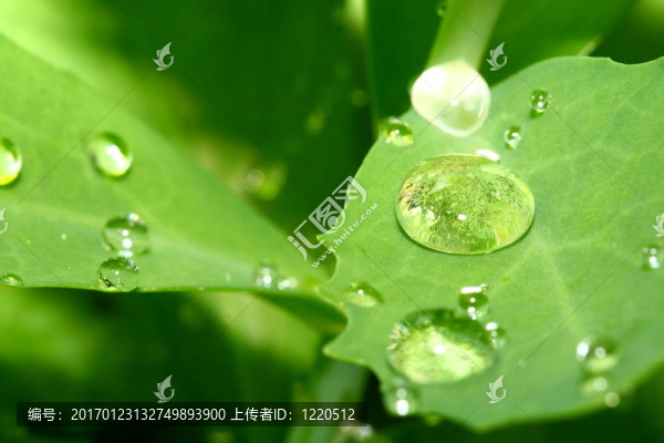 天然水