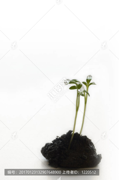 新的生活