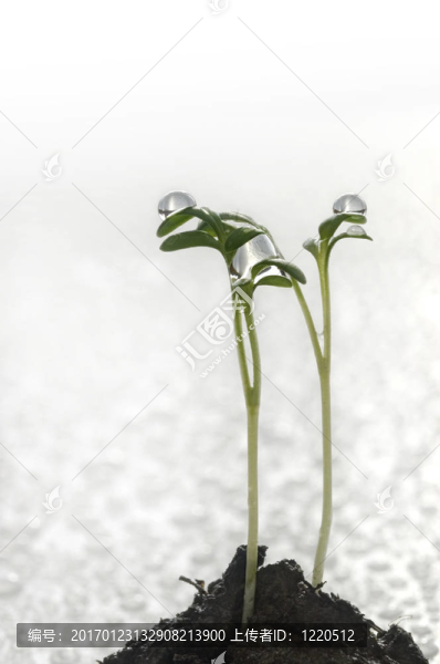 新的生活