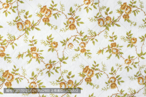 玫瑰圖案的背景