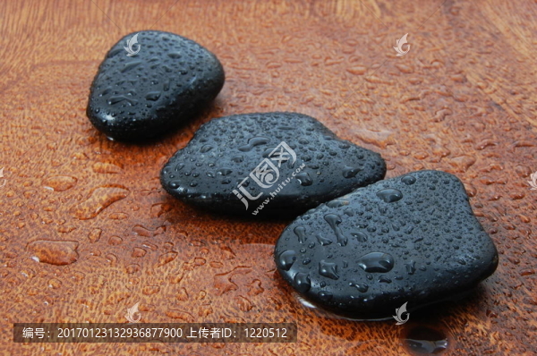 禪觀與石頭和樹葉