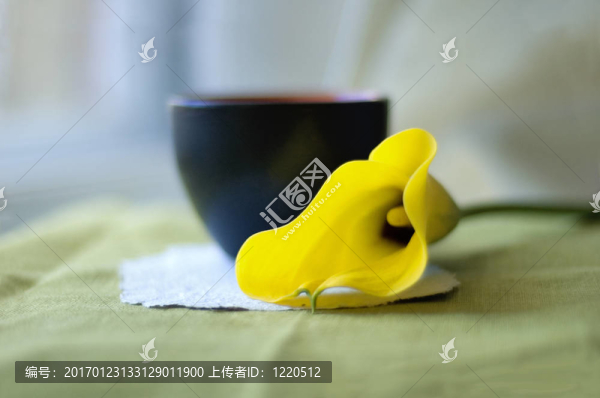 一杯咖啡和一個馬蹄蓮