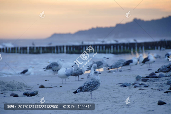 波羅的海沿岸