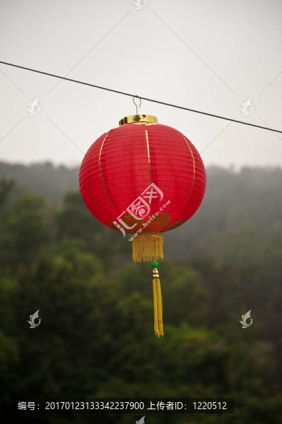 紅燈籠