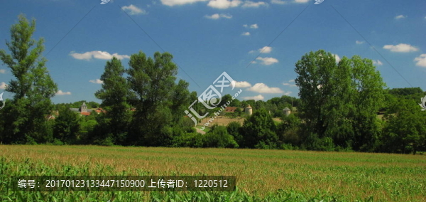 佩里戈?duì)枺晦r(nóng)村