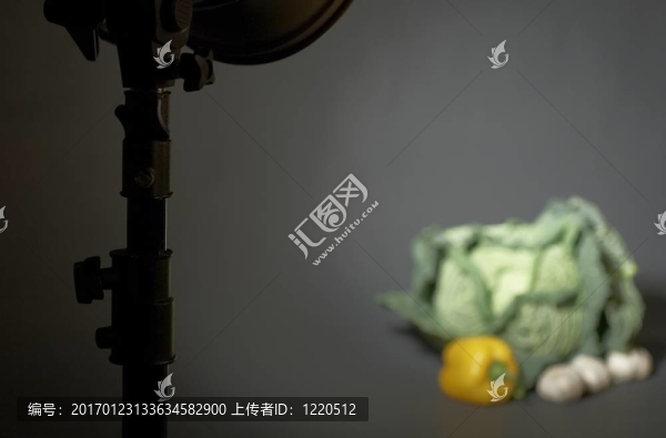 卷心菜和光