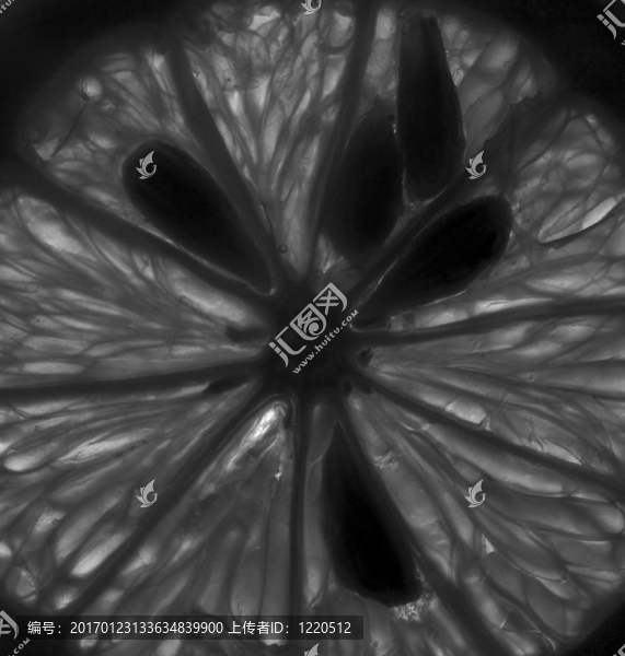 宏觀的檸檬-匯圖網(wǎng) www.fosd68.com 宏觀的檸檬