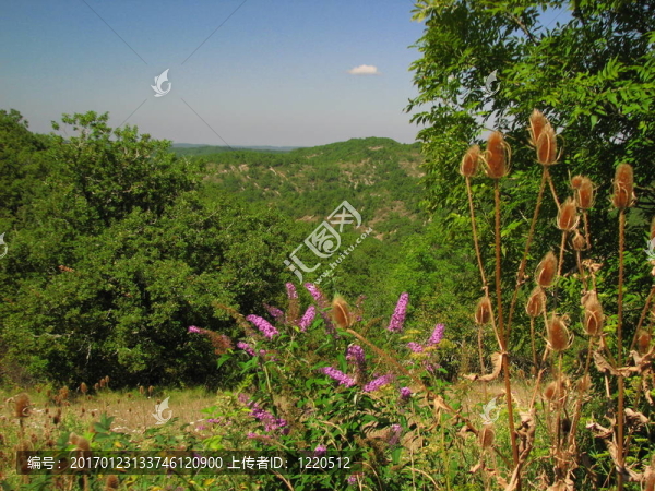 佩里戈爾；農(nóng)村