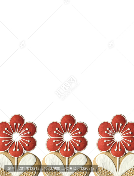 紅色的花框
