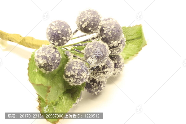 紫色漿果和樹(shù)葉
