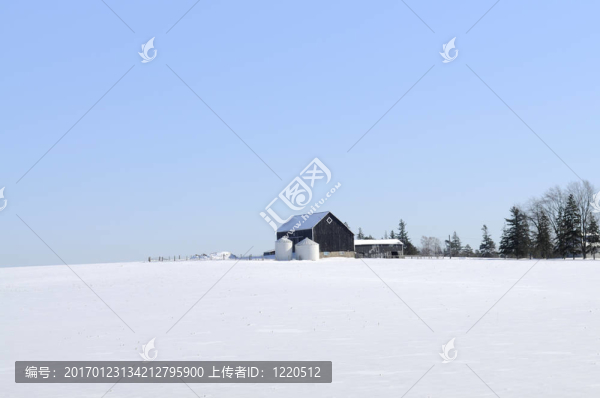 場