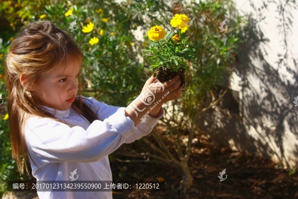 少女在花園里種花。