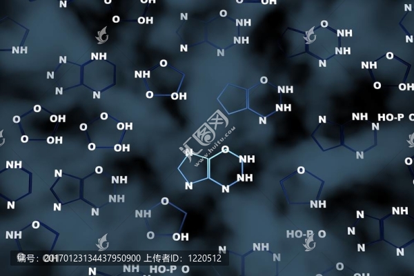 DNA的化學背景