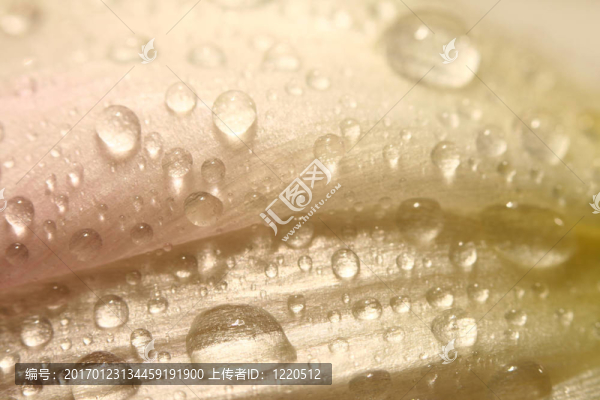 水