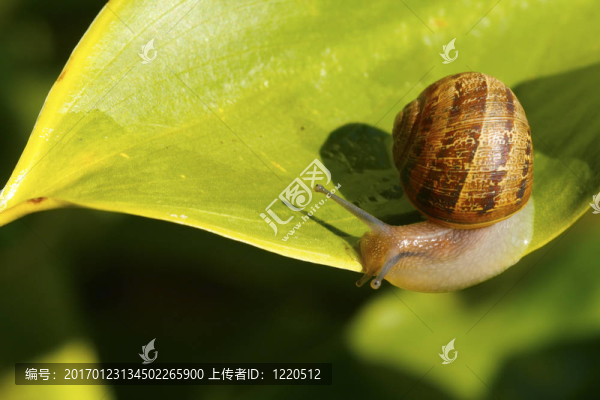 關(guān)閉的邊緣