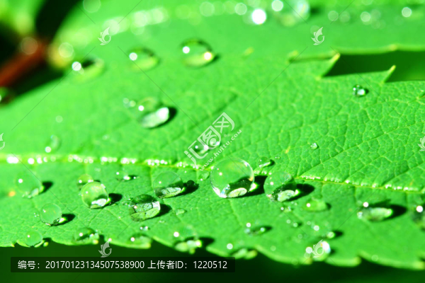 天然水