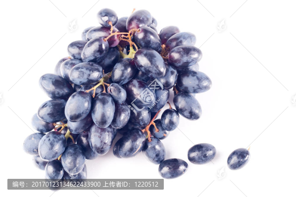 成熟的葡萄中分離