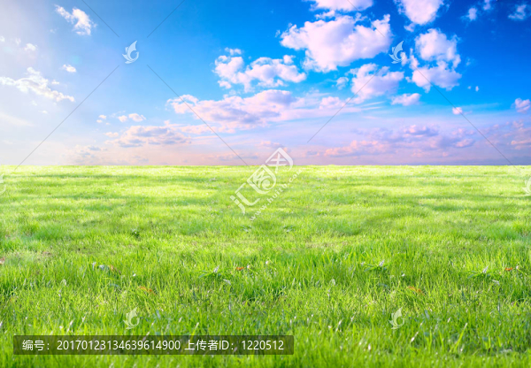 草地和天空