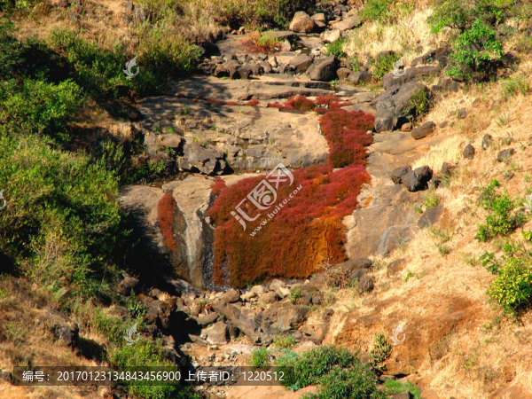 自然紋理-匯圖網(wǎng) www.fosd68.com 自然紋理