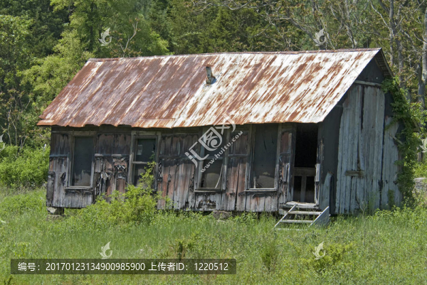 廢棄的小屋與Rusty,Tin,Roof