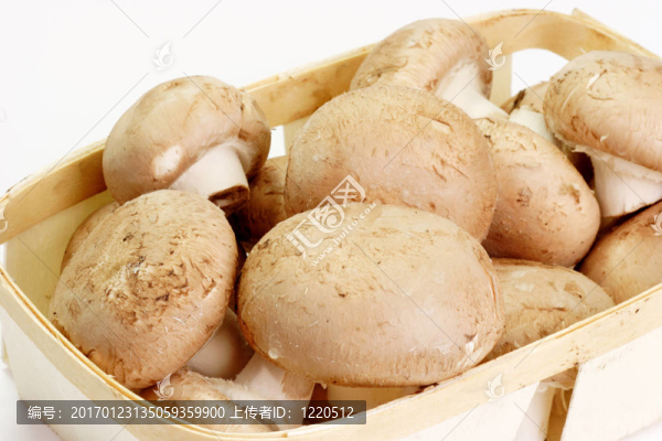 菜籃子里的蘑菇