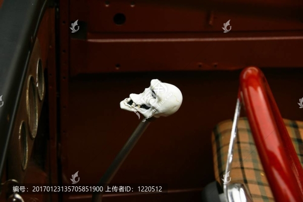 顱骨