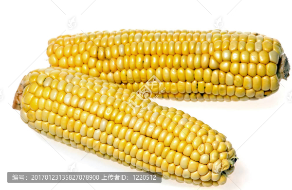 玉米棒子
