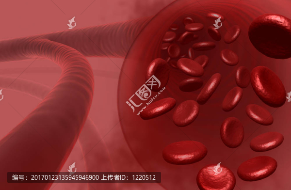 紅血細(xì)胞