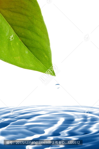 葉水