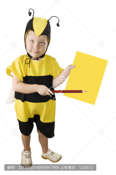 蜜蜂