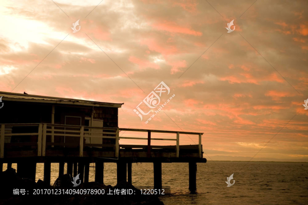 海灘女孩