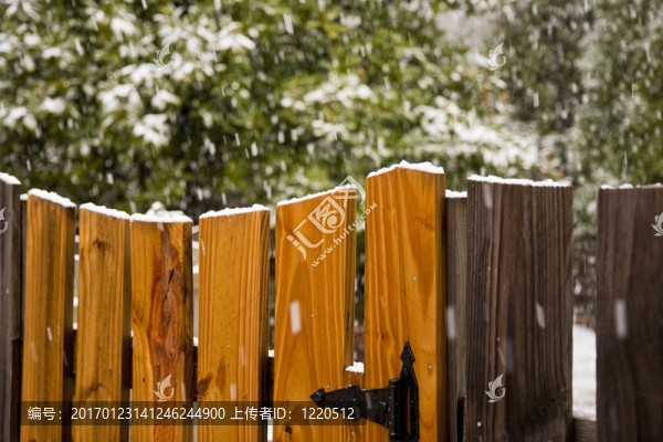 Snow的柵欄和大門