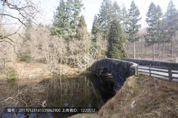 石橋