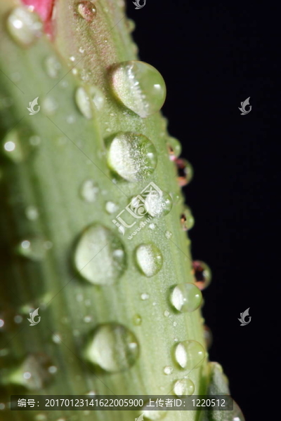 雨滴