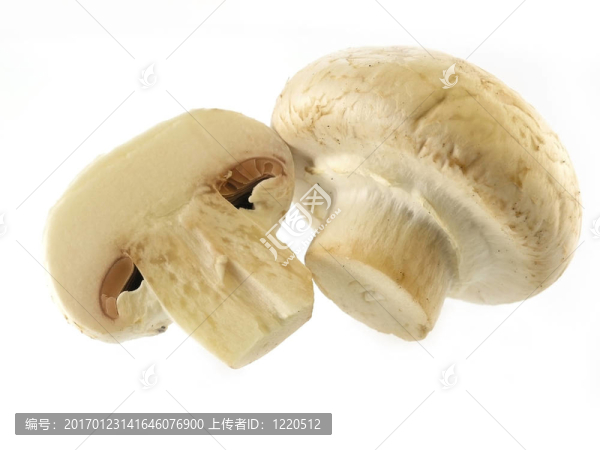 鮮香菇