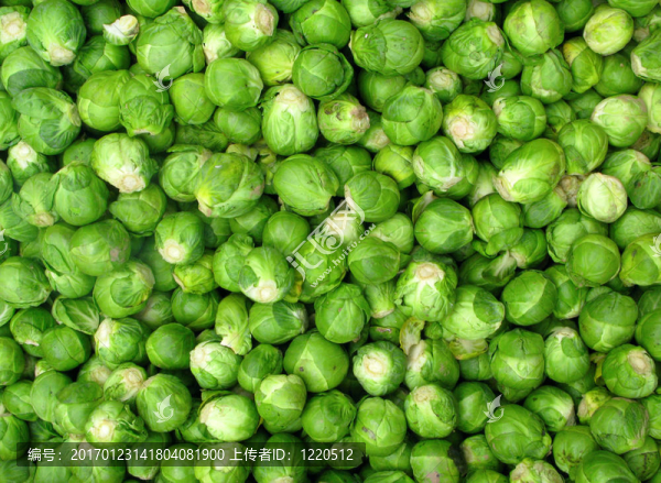 小綠芽甘藍(lán)蔬菜很多。