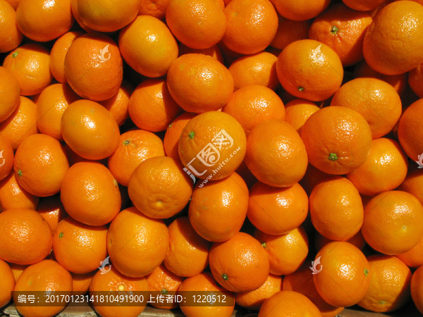 大量的橘子。