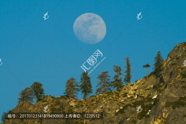 Moon在山上