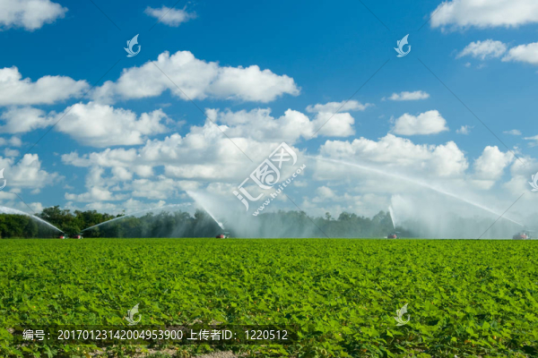 農(nóng)業(yè)