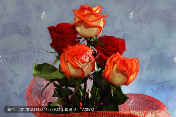 五朵玫瑰
