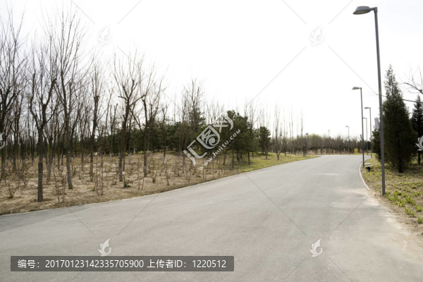 空蕩蕩的柏油路