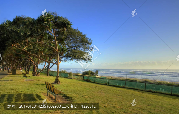 海灘前濱