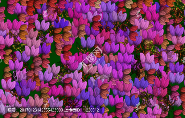 花的