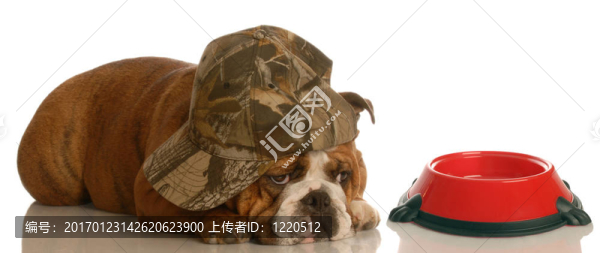 餓狗
