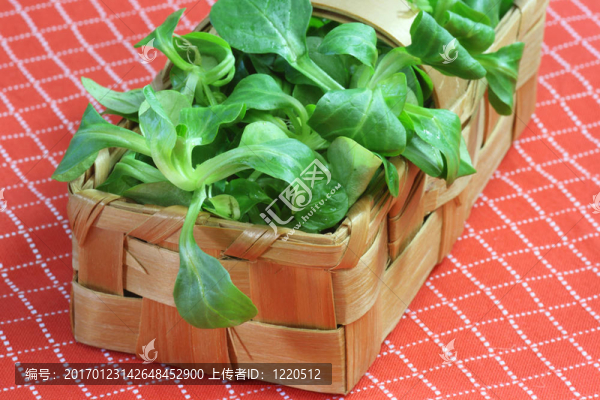 玉米沙拉-匯圖網(wǎng) www.fosd68.com 玉米沙拉